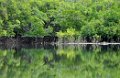 02. cairns e daintree