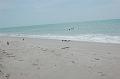 490. captiva