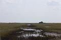 503. everglades