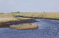 517. everglades