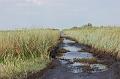 518. everglades