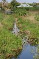564. anhinga trail