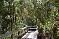 602. mahogany hammock
