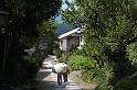 023. magome