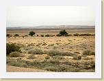043. deserto qusayr amrah * 2272 x 1704 * (1.06MB)