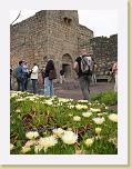 048. qasr al-azraq fiori 2 * 1704 x 2272 * (1.12MB)