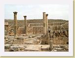 111. macellum * 2272 x 1704 * (1.23MB)