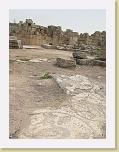 113. mosaici macellum * 1704 x 2272 * (1.15MB)