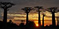 DSC_1006 (307)