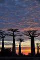 DSC_1006 (336)