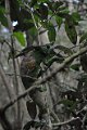 DSC_1111 (127)