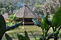 DSC_1111 (146)