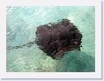 079. trigone 3 * 2272 x 1704 * (1.11MB)