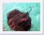 080. trigone 2 * 2272 x 1704 * (1.25MB)