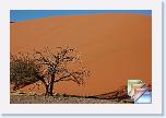 2- namib * (184 Foto)