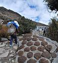 13. dingboche-tengboche (43)