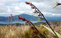 03. tongariro