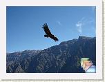 3. colca * (55 Foto)