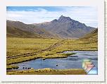 5. cuzco * (132 Foto)