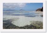175. mare * 3008 x 2000 * (2.83MB)