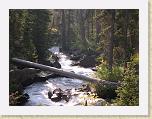 177. fiume bosco * 2272 x 1704 * (2.27MB)