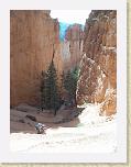 417. navajo loop * 1704 x 2272 * (1.96MB)