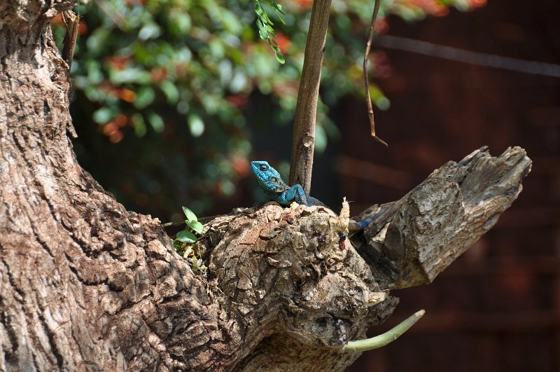 DSC_0013.JPG