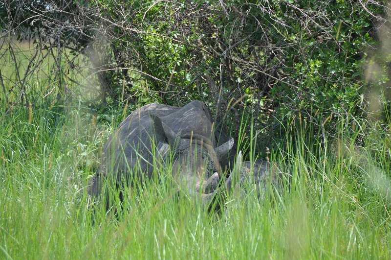 DSC_0056.JPG