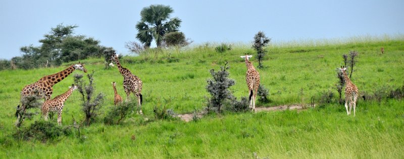 DSC_0208.JPG