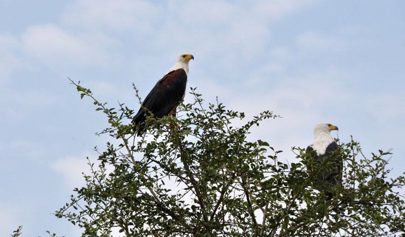 DSC_0293.JPG
