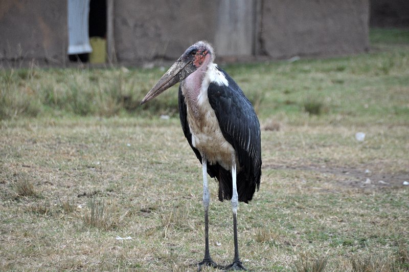 DSC_0655.JPG