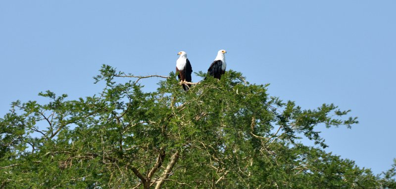 DSC_0761.JPG