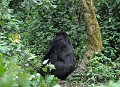 DSC_2003 (009)