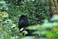DSC_2003 (011)