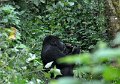 DSC_2003 (012)