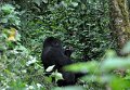 DSC_2003 (013)