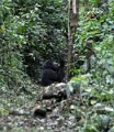 DSC_2003 (019)