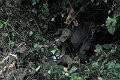 DSC_2003 (021)