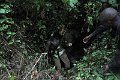 DSC_2003 (023)