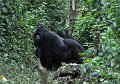 DSC_2003 (024)