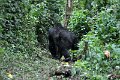 DSC_2003 (027)