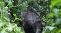 DSC_2003 (030)