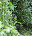 DSC_2003 (032)
