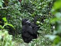 DSC_2003 (033)