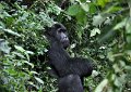 DSC_2003 (039)