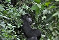 DSC_2003 (040)