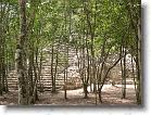 118. resti coba foresta * 2272 x 1704 * (786KB)