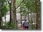 119. pelota coba foresta 2 * 2272 x 1704 * (861KB)