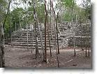 120. gradinata coba foresta * 2272 x 1704 * (878KB)