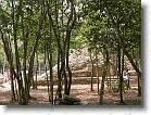 126. pelota coba foresta * 2272 x 1704 * (891KB)